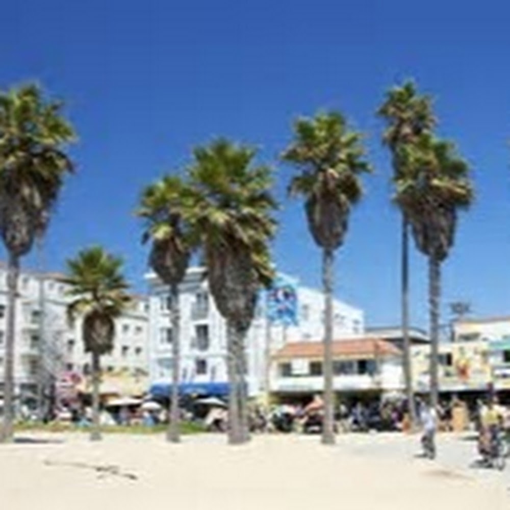 Meet your Posher, Paul